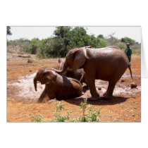 BABY ELEPHANTS WASHING IN KENYA cards by ANGELHELEN BABY ELEPHANTS WASHING IN KENYA cards