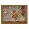 Baby Enjoys Fall Foliage -card by Rebecca_Reeder Baby Enjoys Fall Foliage -card