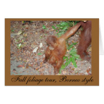 Baby Enjoys Fall Foliage -card by Rebecca_Reeder Baby Enjoys Fall Foliage -card