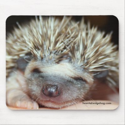 Baby Face Mousepads by Iwantahedgehog