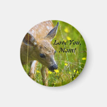 Baby Fawn Mom Button Refrigerator Magnet