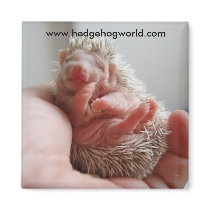 Baby feet magnet by hedgehogworld Baby feet magnet