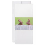 Baby feet rack cards
