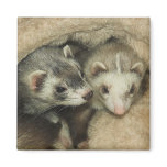 Baby Ferrets Hobs & Jills Fridge Magnet