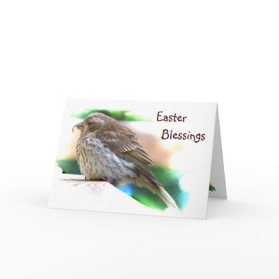 Baby Finch Easter Cards by Bebops