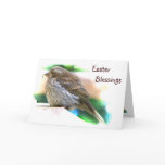 Baby Finch Easter Cards