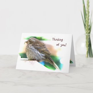 Baby Finch Friendship card