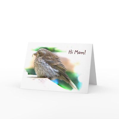 Baby Finch Mother's Day Greeting Card by Bebops