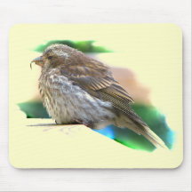 Baby Finch Mousepad