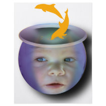 Baby Fish Bowl flyers