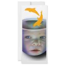Baby Fish Bowl rack cards