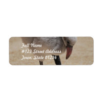Baby Flamingo  Mailing Labels