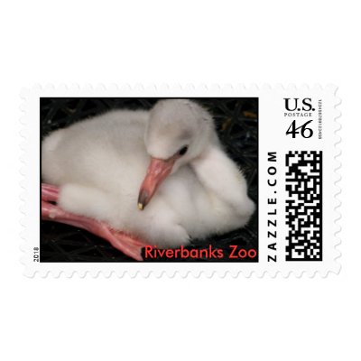 Baby Flamingo Postage