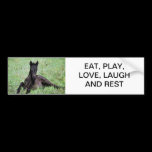 Baby foal lying in the meadow bumper stickers