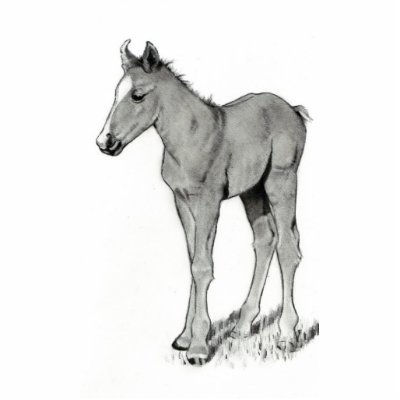 BABY FOAL PHOTO SCULPTURE by joyart