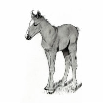 BABY FOAL PHOTO SCULPTURE