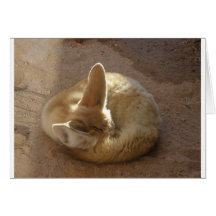 Baby Fox Card