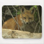 Baby fox mousepad