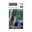 Baby Fox postage