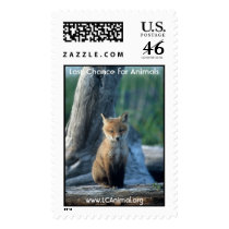 Baby Fox postage