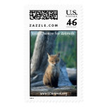 Baby Fox Stamp