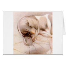 Baby Fox Terrier - SUPER CUTE ! Cards