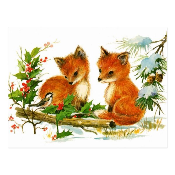 Baby foxes listening to bird post card