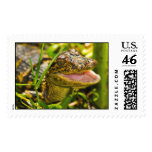 Baby Gator Postage