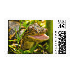 Baby Gator Postage