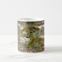 Baby Geese on a Bed of Roses Coffee Mugs