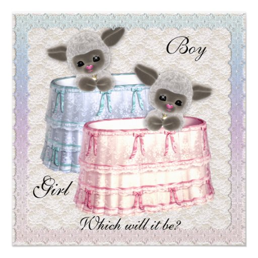 Baby Gender Reveal Party Invitation