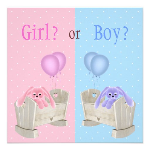 Baby Gender Reveal Pink & Blue Bunnies & Cribs Custom Invites