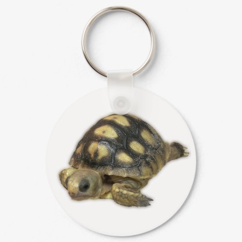 Baby Ghopher Tortoise keychain