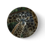 Baby Giraffe Pinback Button
