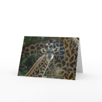 Baby Giraffe Greeting Cards