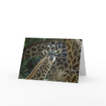 Baby Giraffe Greeting Cards