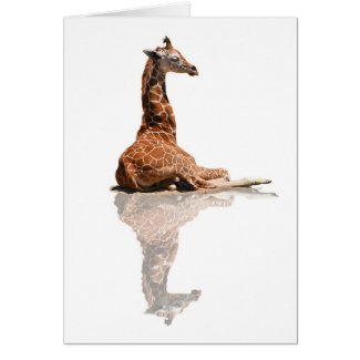 BABY GIRAFFE card