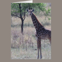 Baby Giraffe cards