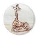 Baby Giraffe magnets