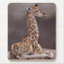 Baby Giraffe Mousemat