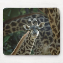 Baby Giraffe mousepads by MuseMagic Baby Giraffe mousepads