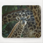 Baby Giraffe Mouse Mat