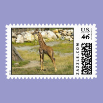 Baby Giraffe stamps