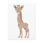 Baby Giraffe Postcard