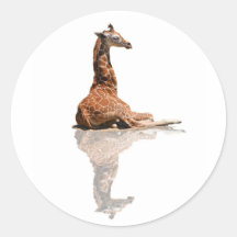 BABY GIRAFFE STICKERS