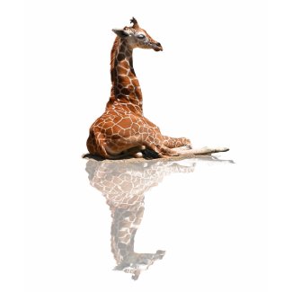 BABY GIRAFFE shirt