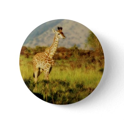 Baby giraffe wildlife badges & buttons by Rowood