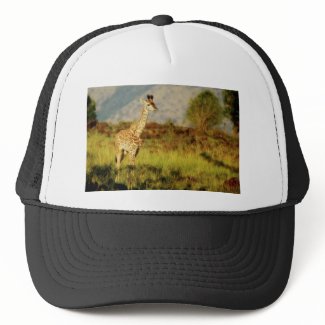 Baby Giraffe wildlife hats hat