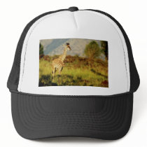 Baby Giraffe wildlife hats by Rowood Baby Giraffe wildlife hats