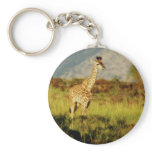 Baby giraffe wildlife keychains &amp; key ring holders